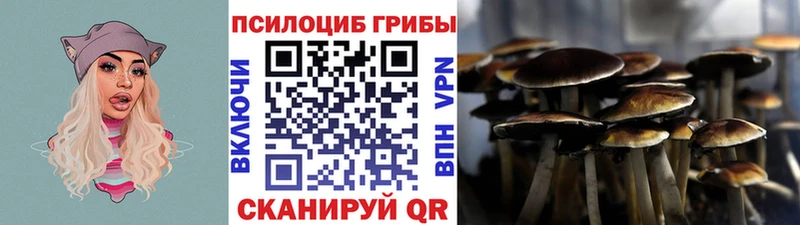 Псилоцибиновые грибы MAGIC MUSHROOMS купить наркотики цена мориарти формула Опочка
